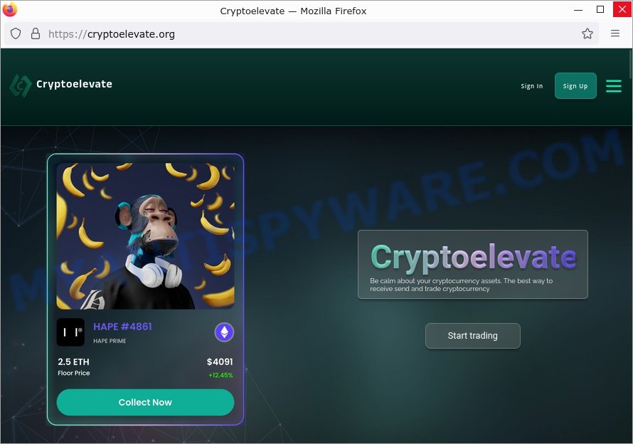 The Cryptoelevate.org Scam: Don’t Get Fooled