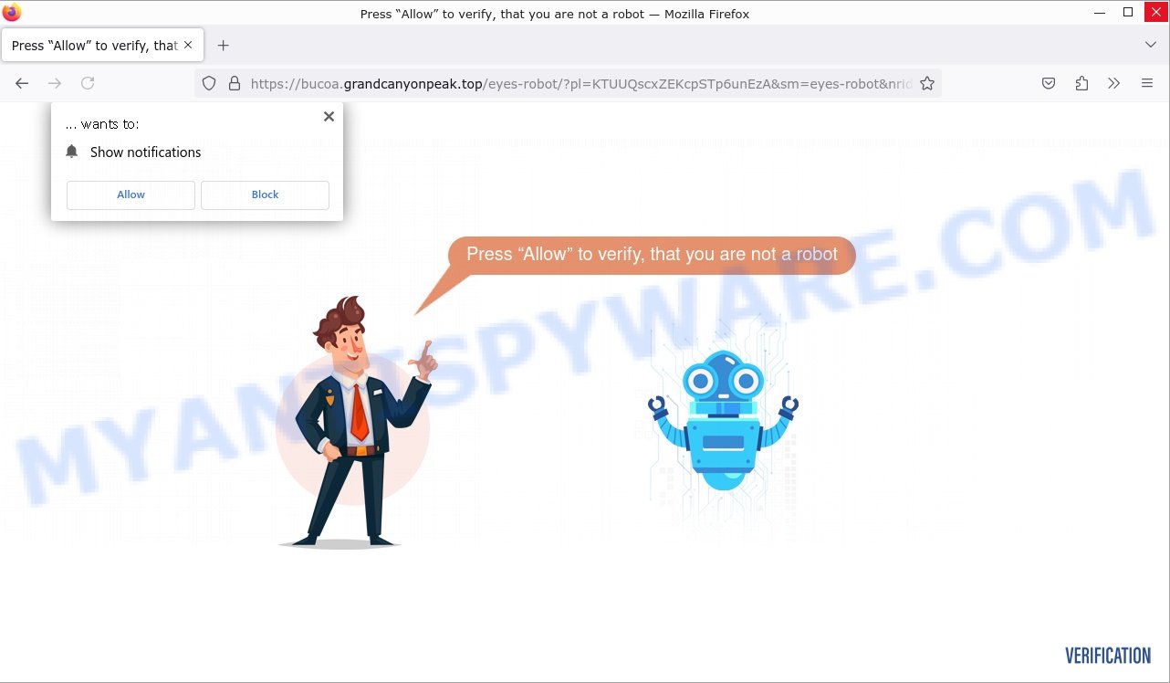 How to remove Grandcanyonpeak.top pop-up ads