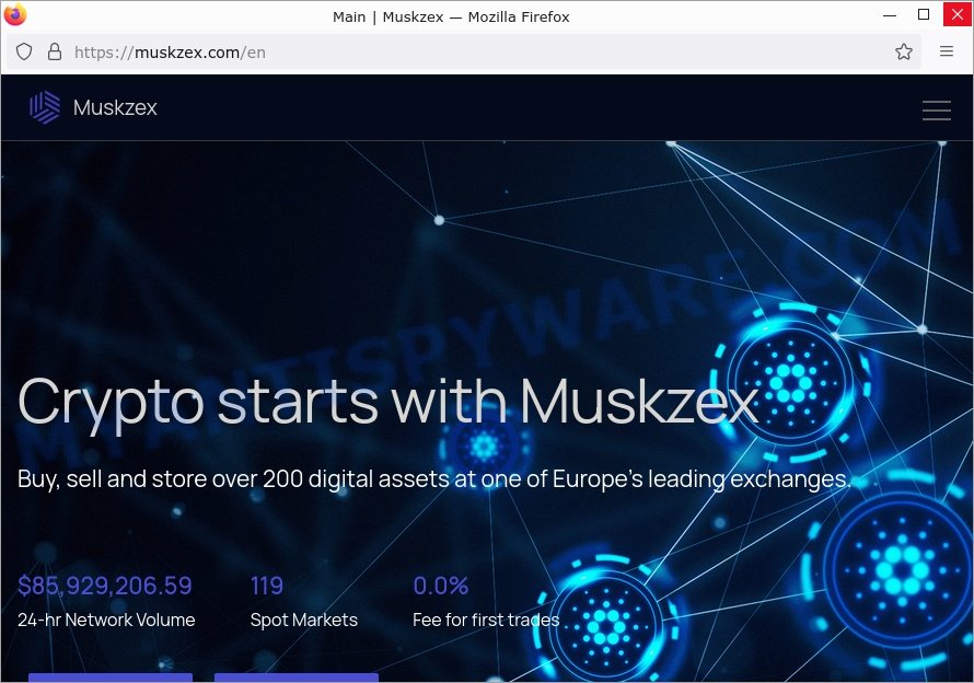 Muskzex.com Review: Decoding the Bitcoin Promo Code Scam