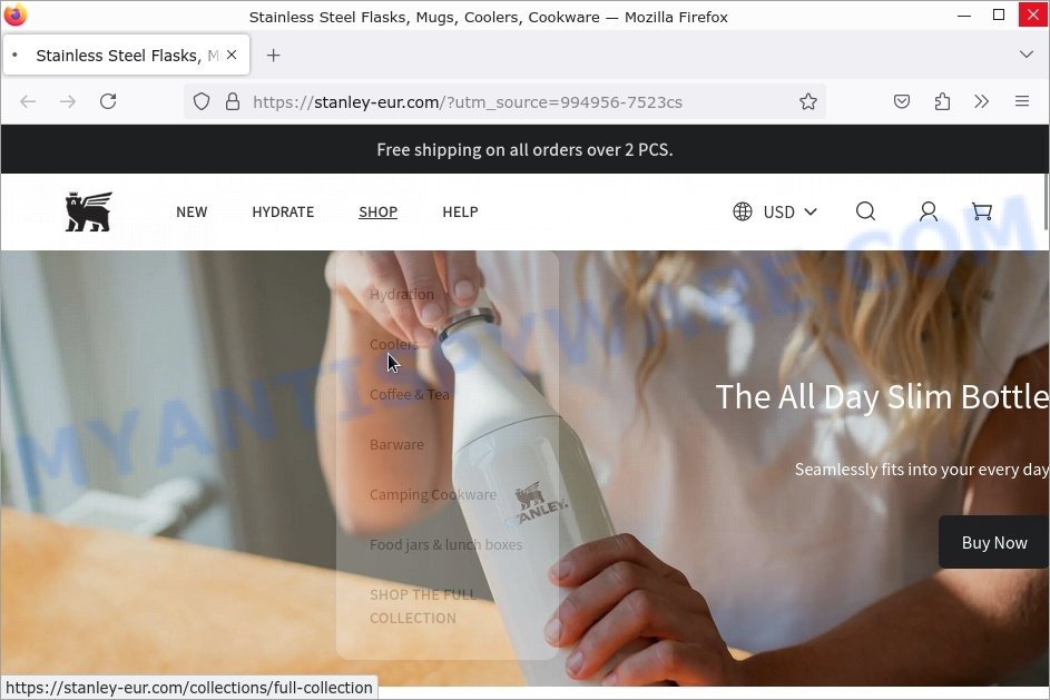 Is Stanley-eur.com a Scam? Understanding Online Shopping Risks