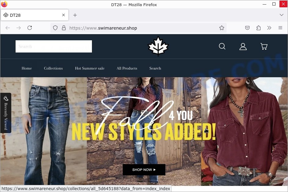 Debunking Swimareneur.shop: Is It a Safe Place to Shop Online?