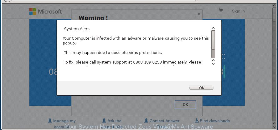 Your System Has Detected Zeus Virus